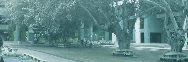 中山大學傳管所圖片